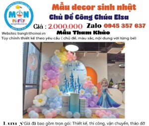 backdrop-sinh-nhat-cong-chua-elsa