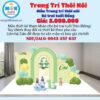 trang-tri-thoi-noi-be-trai-tuoi-rong-tone-xanh-la