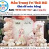 trang-tri-thoi-noi-mau-hong-be-tuoi-ty