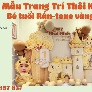 mau-decor-thoi-noi-tone-vang